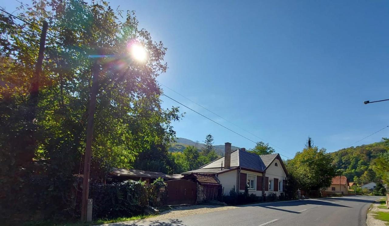 Hamori Alom * Miskolc