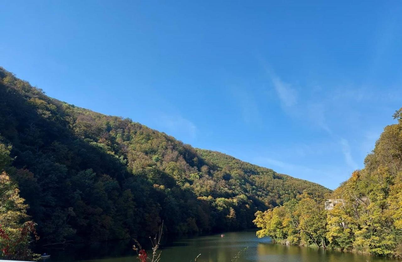Hamori Alom Miskolc
