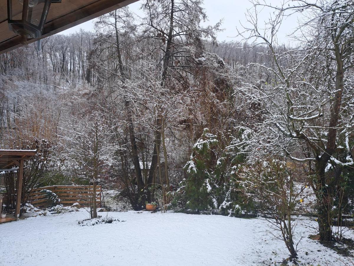Hamori Alom Ferienhaus Miskolc